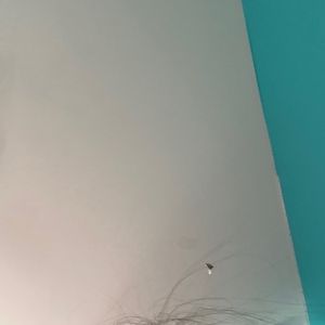 Meet your Posher, Julianna